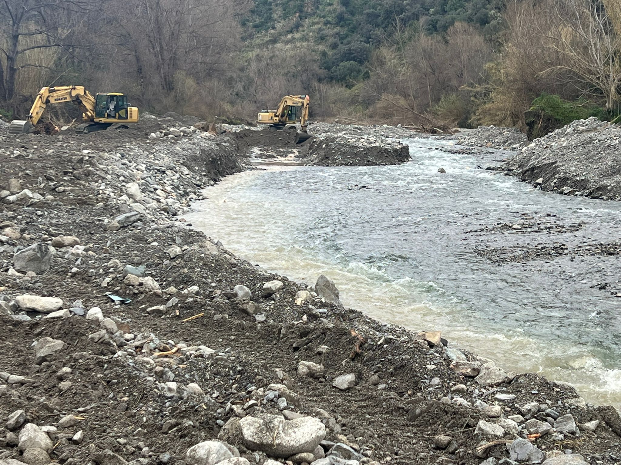 Immagine di copertina per Avviso per il ristoro danni strutture agricole per eventi calamitosi gennaio febbraio 2026